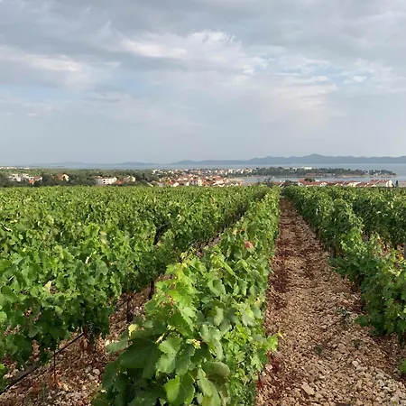 Seaview Amy - Private Pool, Sauna & Jacuzzi Kožino
