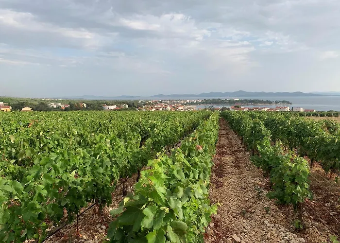 Seaview Amy - Private Pool, Sauna & Jacuzzi Kožino